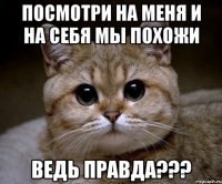 посмотри на меня и на себя мы похожи ведь правда???