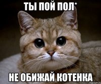 ты пой пол* не обижай котенка