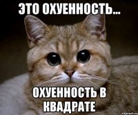 это охуенность... охуенность в квадрате