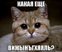 какая еще вижынъгхяяль?