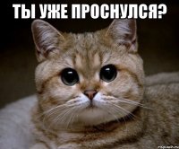 ты уже проснулся? 