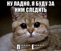 ну ладно, я буду за ним следить п****** е******