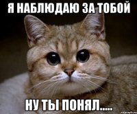 я наблюдаю за тобой ну ты понял.....