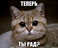 теперь ты рад?