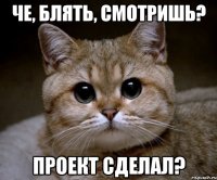 че, блять, смотришь? проект сделал?