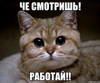 че смотришь! работай!!