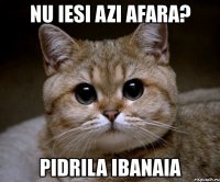 nu iesi azi afara? pidrila ibanaia