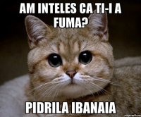 am inteles ca ti-i a fuma? pidrila ibanaia