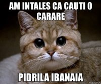 am intales ca cauti o carare pidrila ibanaia