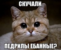 скучали, педрилы ебанные?