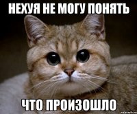 нехуя не могу понять что произошло