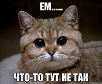 ем...... что-то тут не так