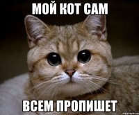 мой кот сам всем пропишет