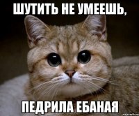 шутить не умеешь, педрила ебаная