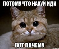 потому что нахуй иди вот почему