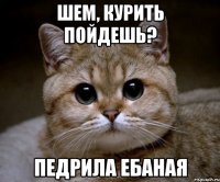 шем, курить пойдешь? педрила ебаная