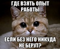 где взять опыт работы если без него никуда не берут?