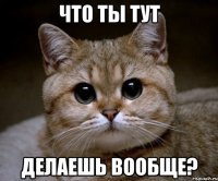 что ты тут делаешь вообще?