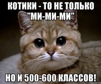 котики - то не только "ми-ми-ми" но и 500-600 классов!