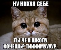 ну нихуя себе ты че в школу хочешь? тиииимуууур.