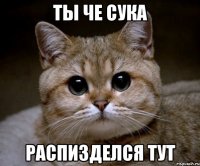 ты че сука распизделся тут