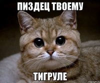 пиздец твоему тигруле