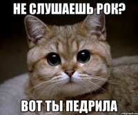 не слушаешь рок? вот ты педрила