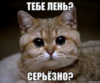 тебе лень? серьёзно?