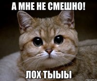 а мне не смешно! лох тыыы