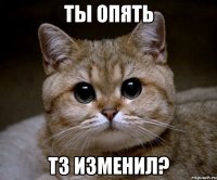 ты опять тз изменил?