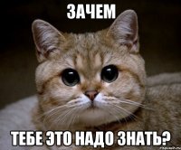 зачем тебе это надо знать?