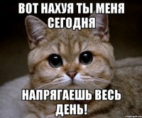 вот нахуя ты меня сегодня напрягаешь весь день!