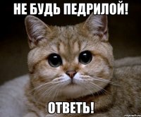 не будь педрилой! ответь!