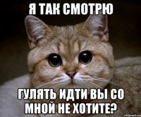 я так смотрю гулять идти вы со мной не хотите?