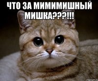 что за мимимишный мишка???!!! 