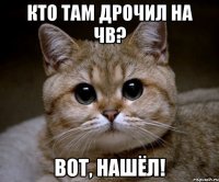 кто там дрочил на чв? вот, нашёл!