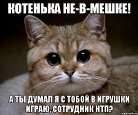 котенька не-в-мешке! а ты думал я с тобой в игрушки играю, сотрудник нтп?