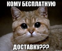 кому бесплатную доставку???