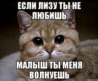 если лизу ты не любишь малыш ты меня волнуешь