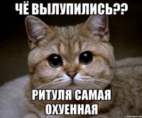 чё вылупились?? ритуля самая охуенная