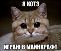 я котэ играю в майнкрафт