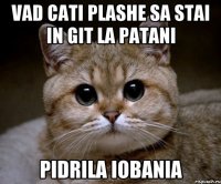 vad cati plashe sa stai in git la patani pidrila iobania