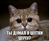  ты думал я шутки шучу?