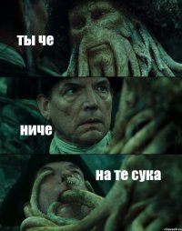 ты че ниче на те сука