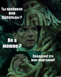 Ты пробивал мои Щупальцы ? Не а можно ? Придурок! это мои гиниталии!!