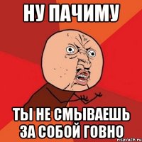 ну пачиму ты не смываешь за собой говно