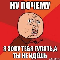 ну почему я зову тебя гулять,а ты не идёшь