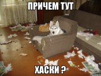 причем тут хаски ?