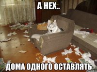 а нех.. дома одного оставлять