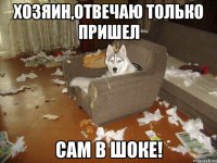 хозяин,отвечаю только пришел сам в шоке!